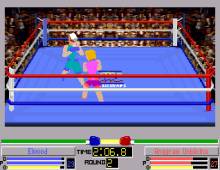 4-D Boxing screenshot
