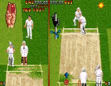Ian Botham's Cricket screenshot
