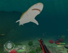Shark! Hunting the Great White screenshot