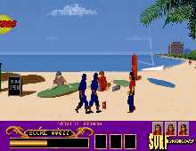 Surf Ninjas