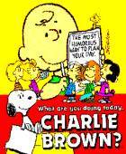 What Are You Doing Today, Charlie Brown? box cover
